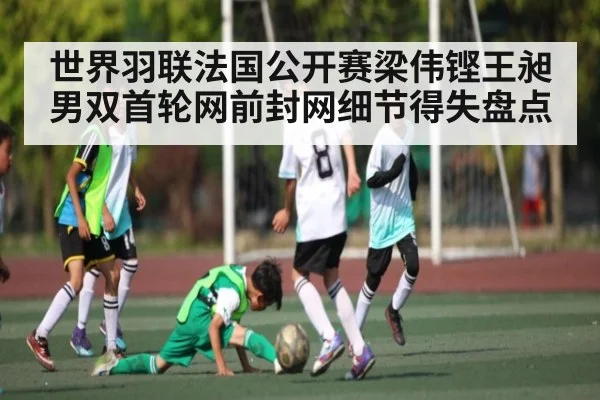 世界羽联法国公开赛梁伟铿王昶男双首轮网前封网细节得失盘点